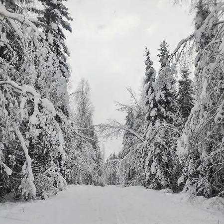 Lomamoekki Seitsemisen Kansallispuiston Laehellae Chalet Parkano