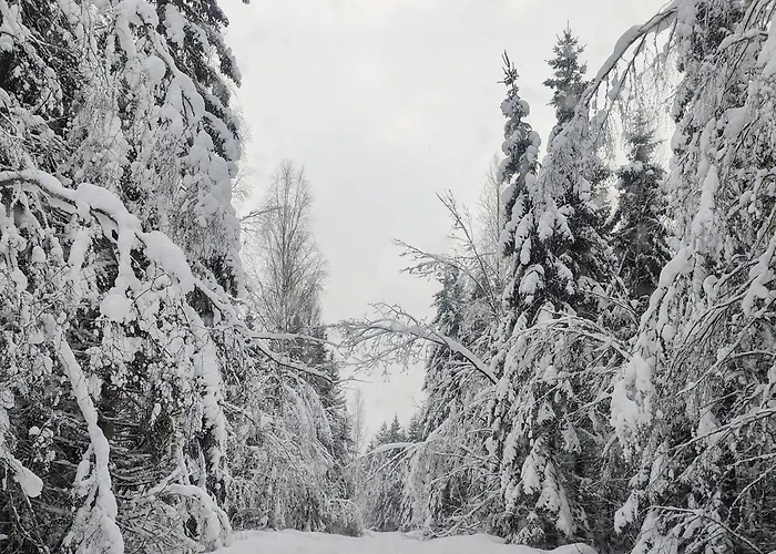 Lomamoekki Seitsemisen Kansallispuiston Laehellae Alpstuga Parkano